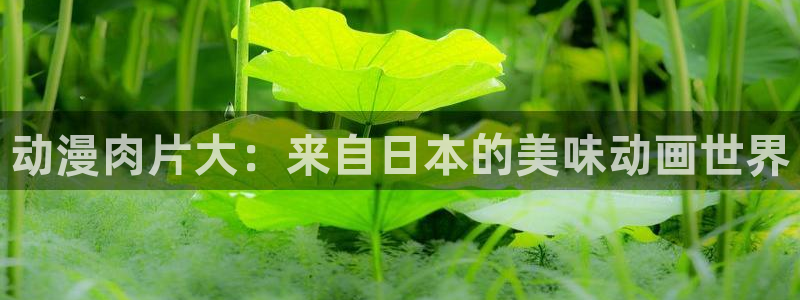 3d动漫天堂