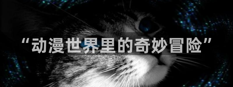动漫天堂下载官方