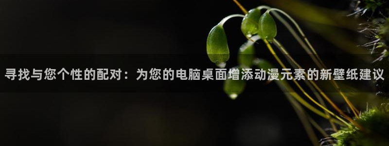 动漫天堂下载