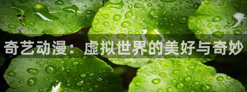 18禁动漫天堂