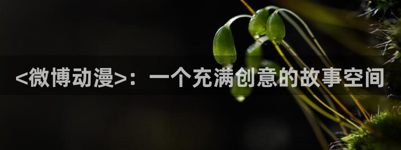 禁动漫天堂