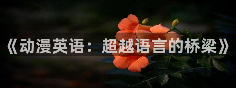 成人动漫天堂