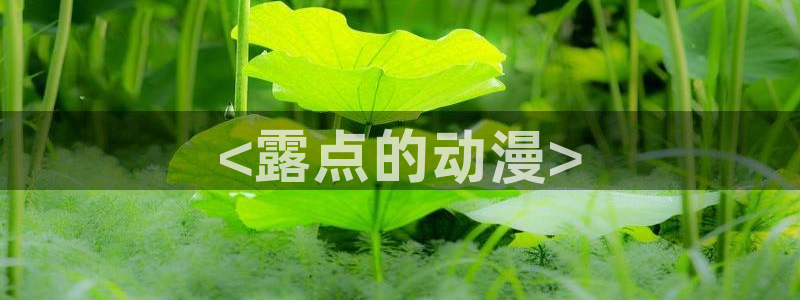acg动漫天堂
