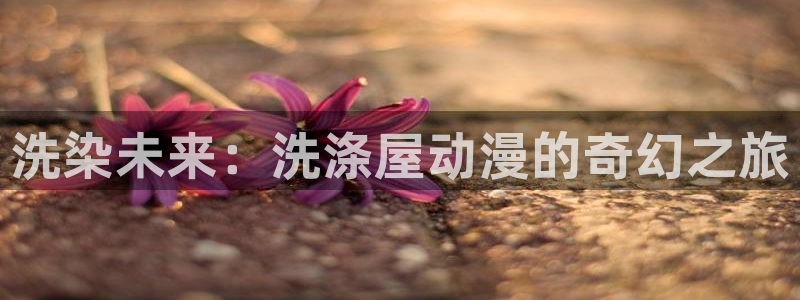 动漫天堂下载正版