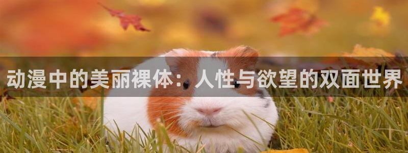 动漫天堂在线