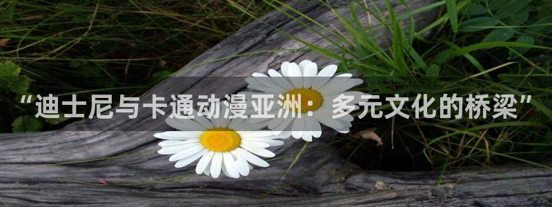动漫天堂官方正版下载