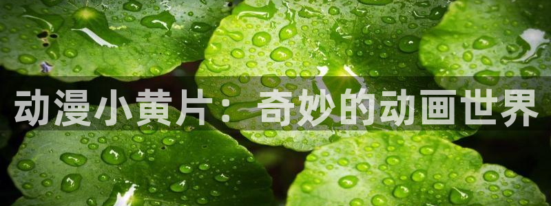 动漫天堂之吻