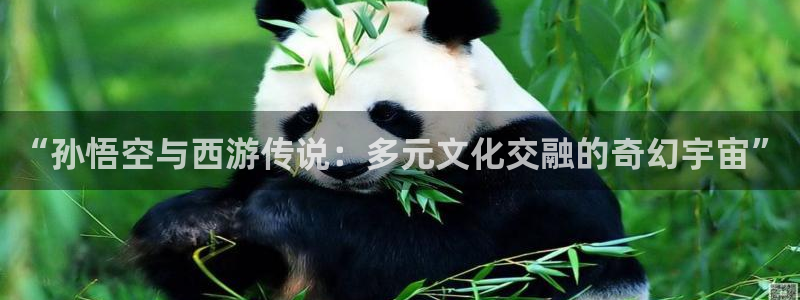动漫天堂下载