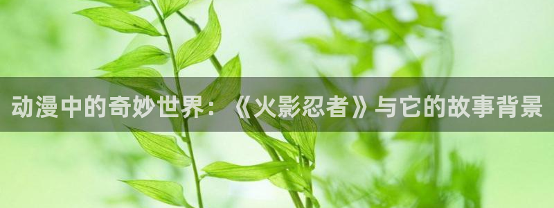 动漫天堂.