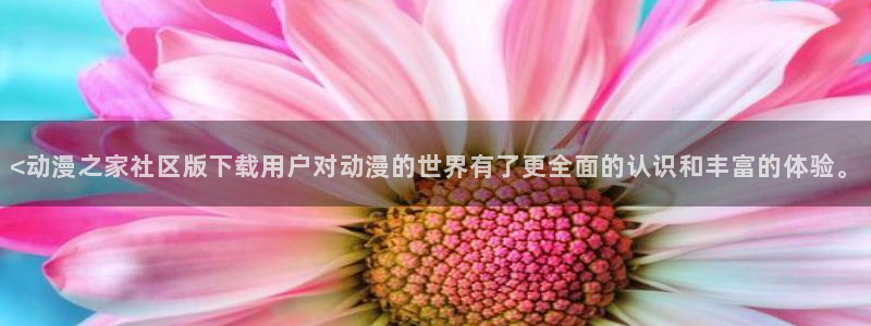 内地动漫天堂