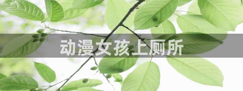 动漫天堂免费下载