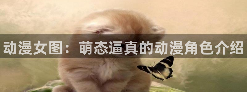 动漫天堂在线观看