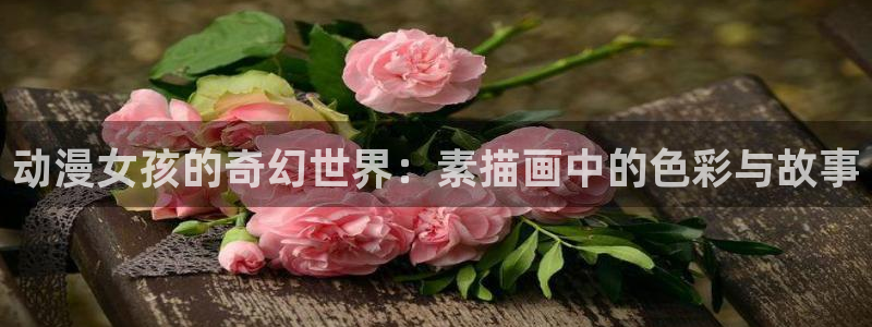 动漫天堂下载官方