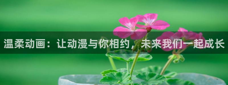 原神动漫天堂免费入口