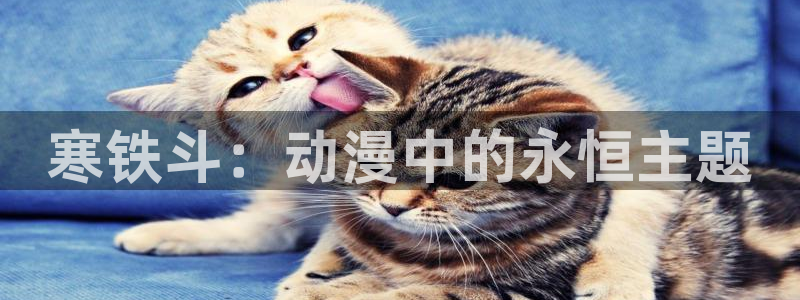 动漫天堂cc