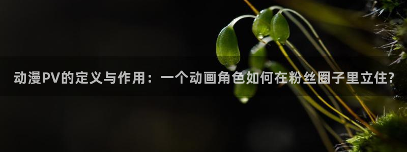 内地动漫天堂：动漫PV的定义与作用：一个动画角色如何在粉丝圈子里立住?