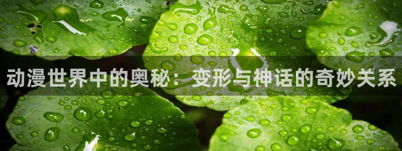 动漫天堂下载