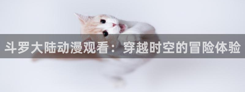动漫天堂在线观看