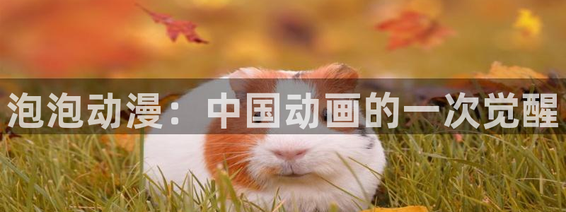 动漫天堂18