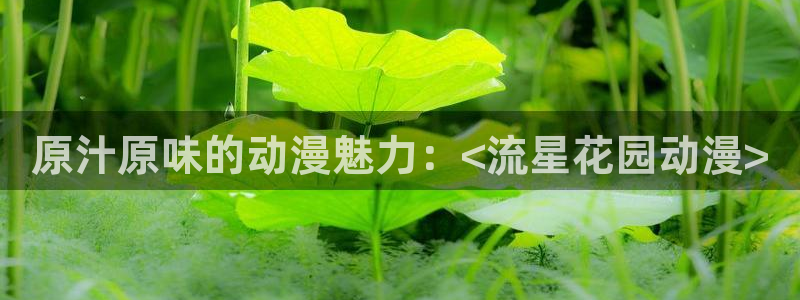 3d动漫天堂网
