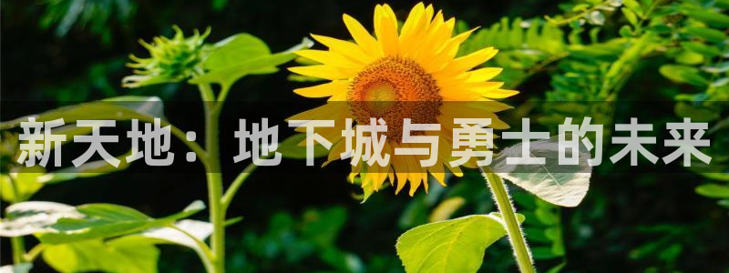 3d动漫天堂
