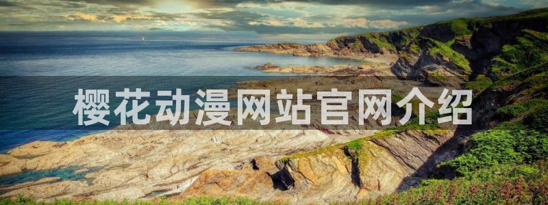 动漫天堂电影