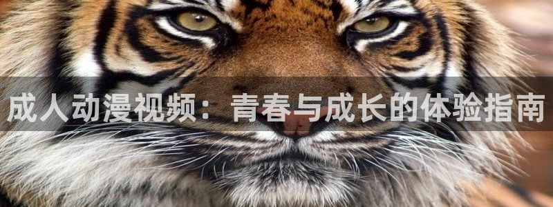 禁漫动漫天堂