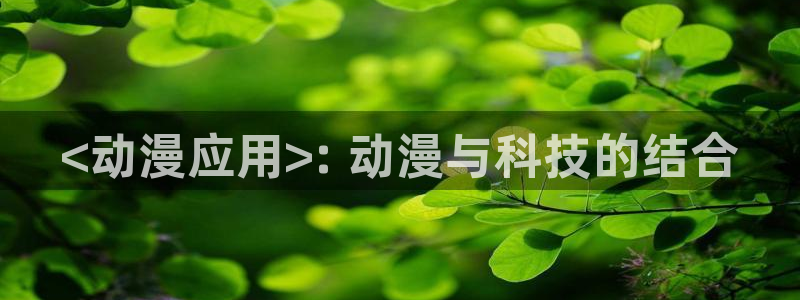 动漫天堂cc