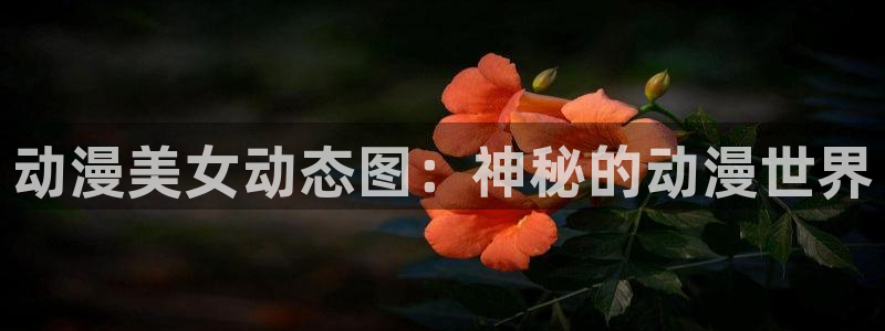 禁动漫天堂
