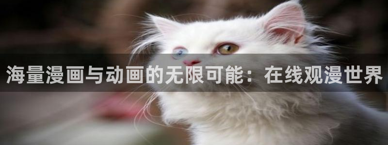 91动漫天堂