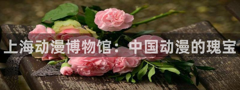 动漫天堂