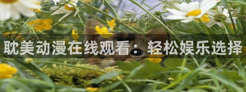 动漫天堂之吻