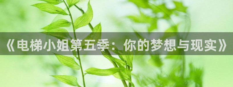 亚洲成人动漫天堂