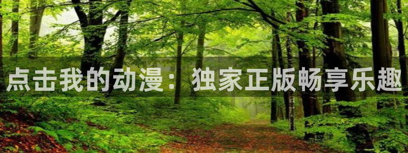 动漫天堂软件