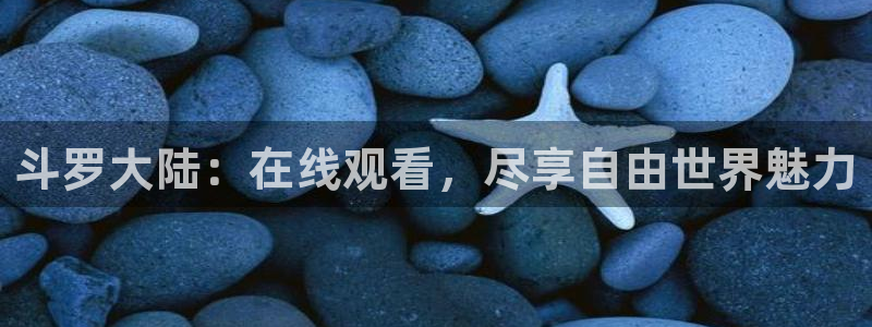 动漫天堂在线免费观看