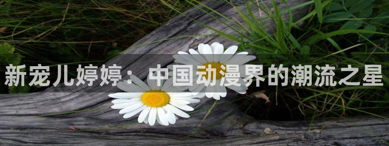 18动漫天堂