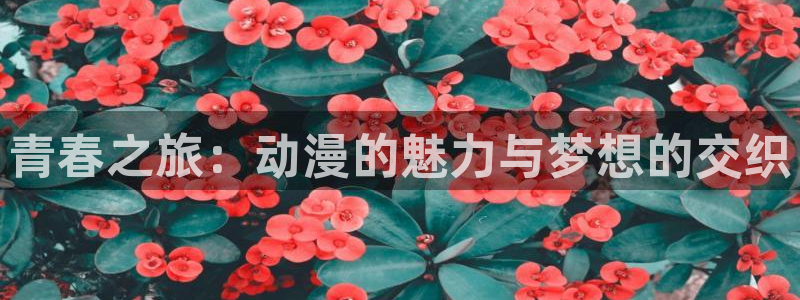动漫天堂官网