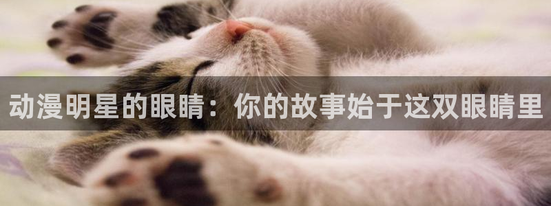 h动漫天堂