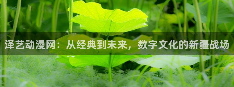 动漫天堂下载