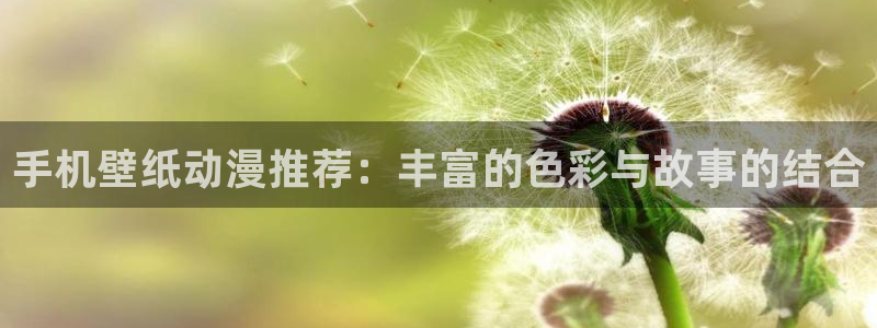 动漫天堂