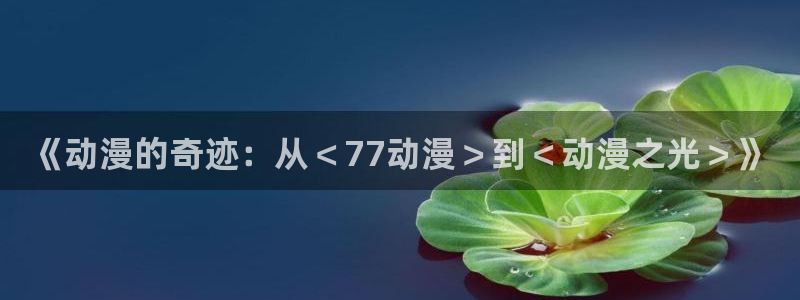 动漫天堂91