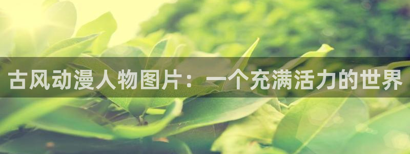 秋叶原动漫天堂