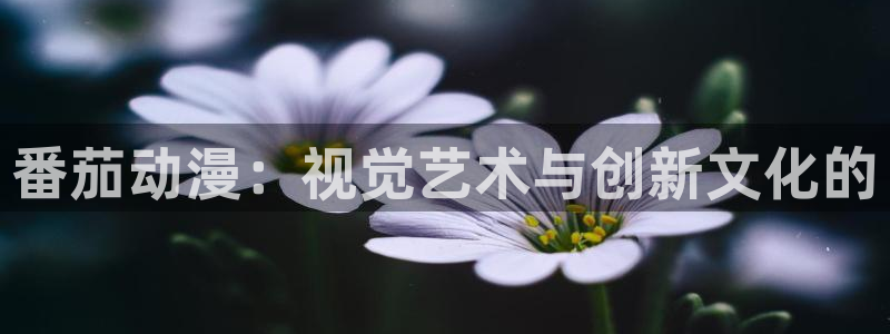 动漫天堂在线