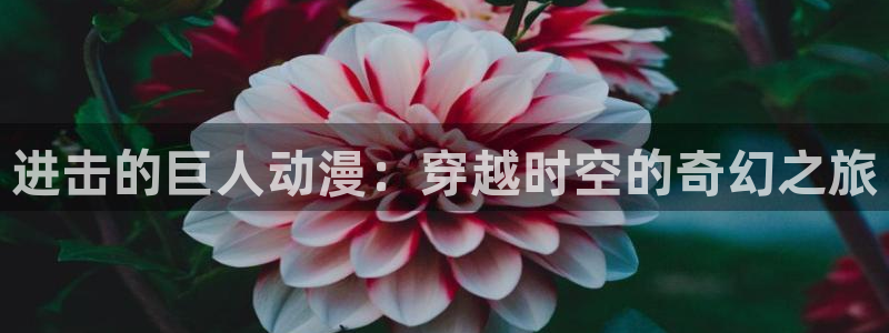 动漫天堂在线看