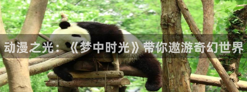 coco动漫天堂