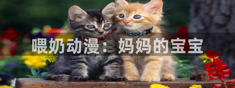 同人动漫天堂