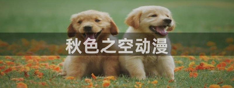 动漫天堂.