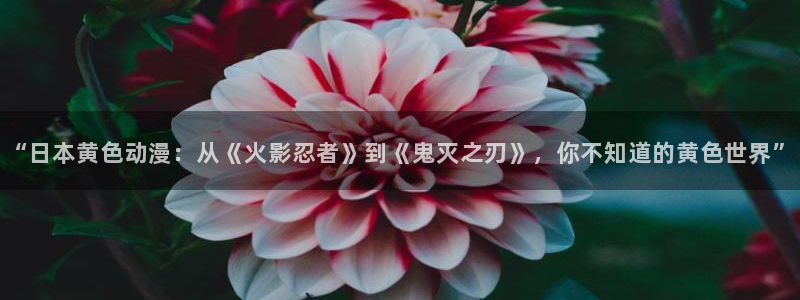 acg动漫天堂：“日本黄色动漫：从《火影忍者》到《鬼灭之刃》，你不知道的黄色世界”
